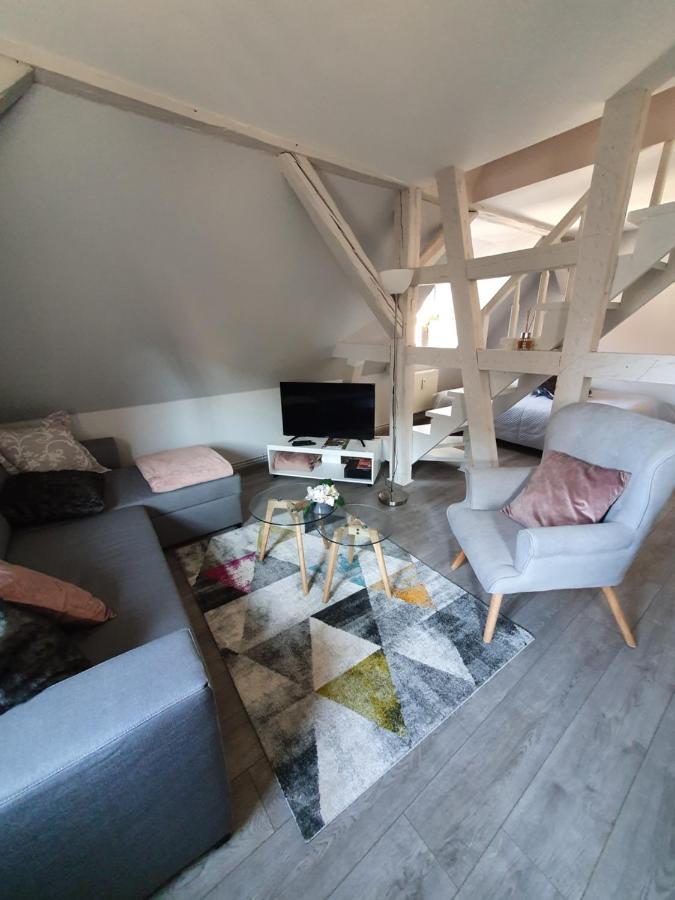 Apartament Chic & Cosy Haguenau Zewnętrze zdjęcie