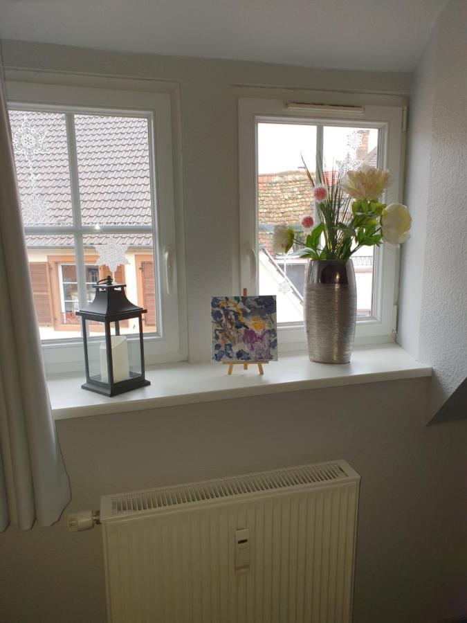 Apartament Chic & Cosy Haguenau Zewnętrze zdjęcie