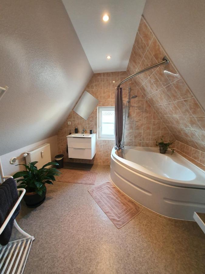 Apartament Chic & Cosy Haguenau Zewnętrze zdjęcie